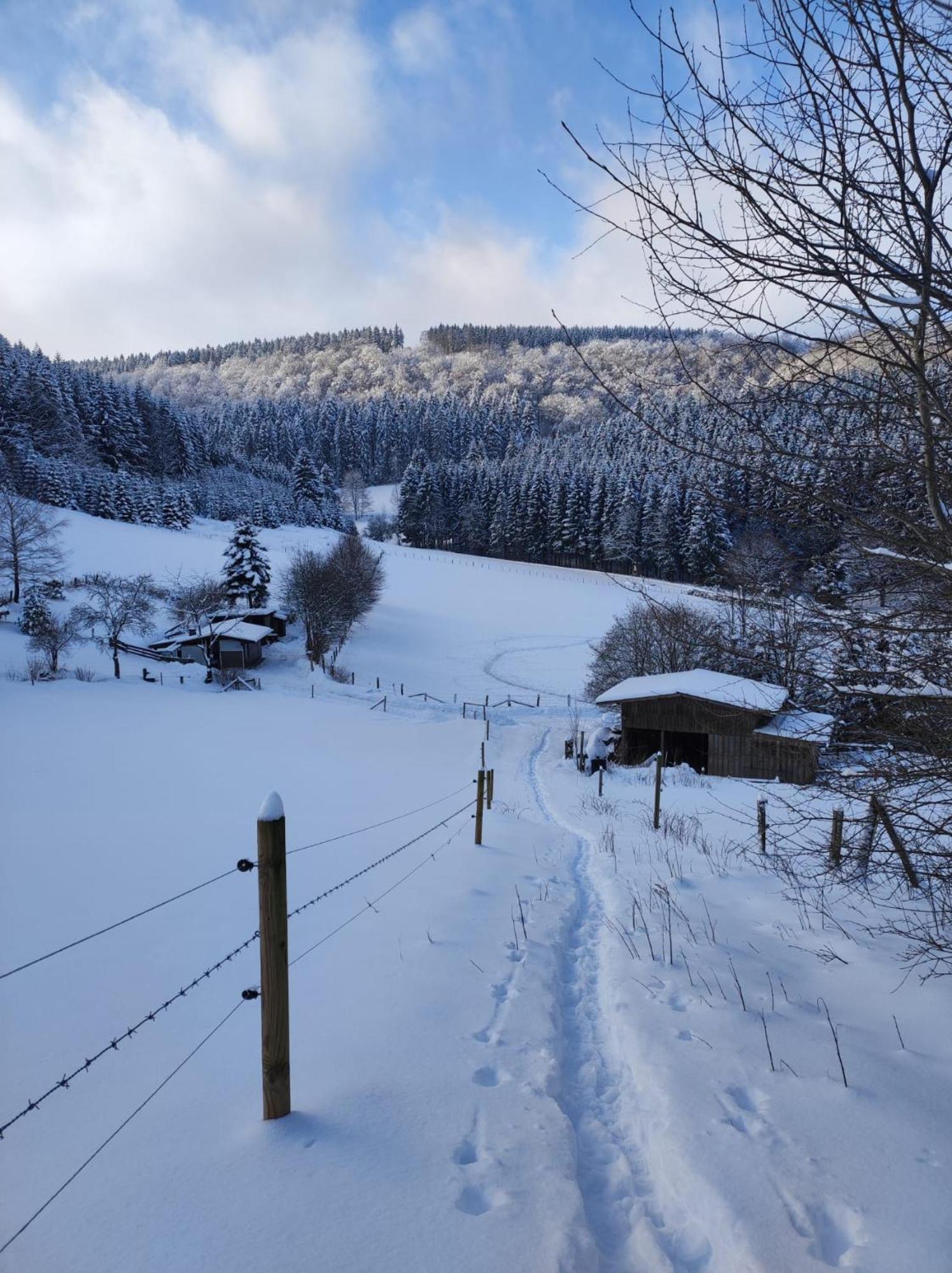 Ferienwohnung Finkeldei Winterberg Luaran gambar